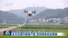 确保粮食和主要农产产保供