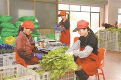 提高食物平安监管部分的执